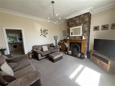 Picture 7